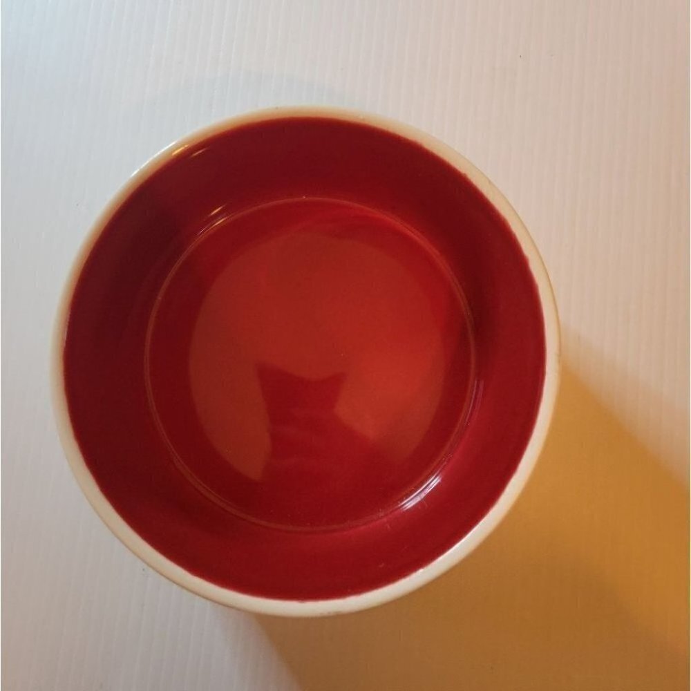 ❤️ 3 for $35 RAE Dunn feast dog cat pet food feeder bowl - Picture 2 of 3